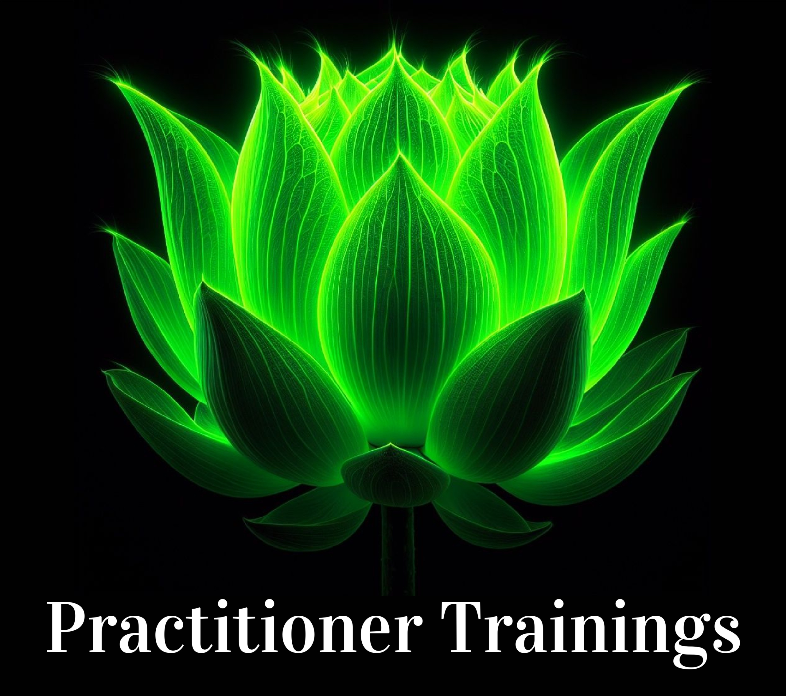 Practitioner Trainings Website Header